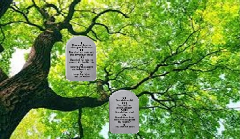 Yah's Instructions